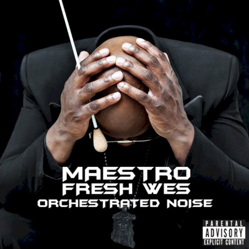 Orchestrated Noise