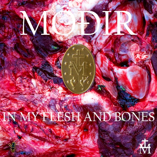 IN MY FLESH AND BONES