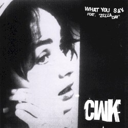 What You Say