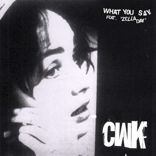 What You Say
