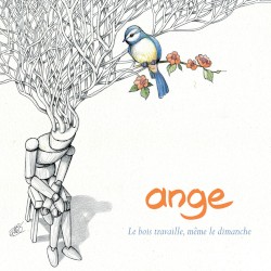 Le bois travaille, même le dimanche