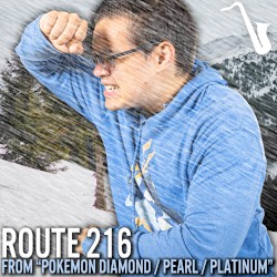 Route 216 (From "Pokemon Diamond / Pearl / Platinum")