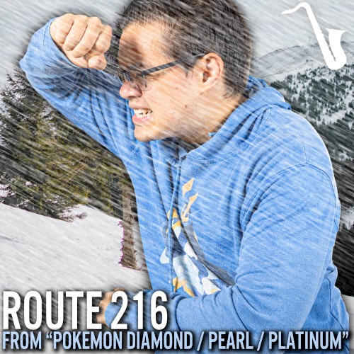 Route 216 (From "Pokemon Diamond / Pearl / Platinum")