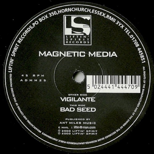 Vigilante / Bad Seed