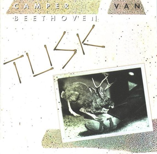 Tusk