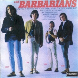 The Barbarians