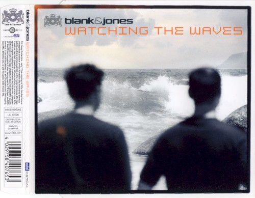 Watching the Waves