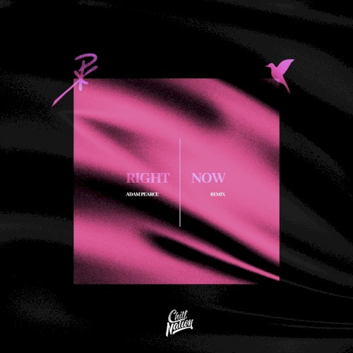 Right Now (Adam Pearce remix)
