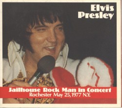 Jailhouse Rock Man in Concert
