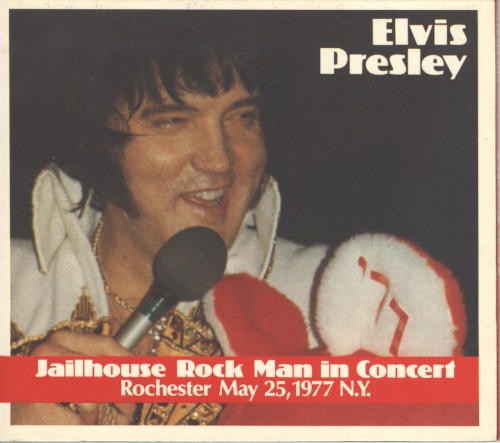 Jailhouse Rock Man in Concert