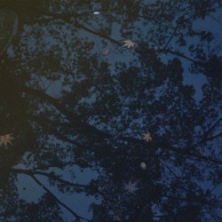 Watermirror