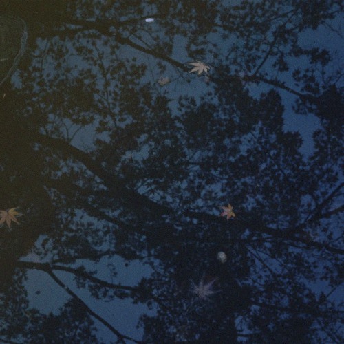 Watermirror