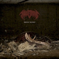 Shock Tactics (1000v)