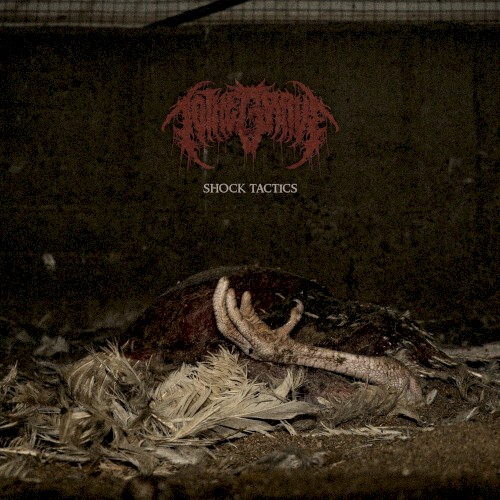 Shock Tactics (1000v)