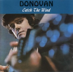 Catch the Wind
