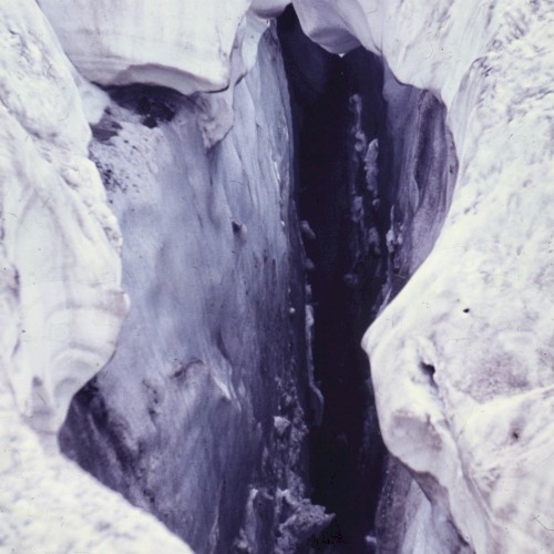 Polar