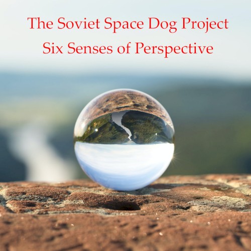 Six Senses of Perspective