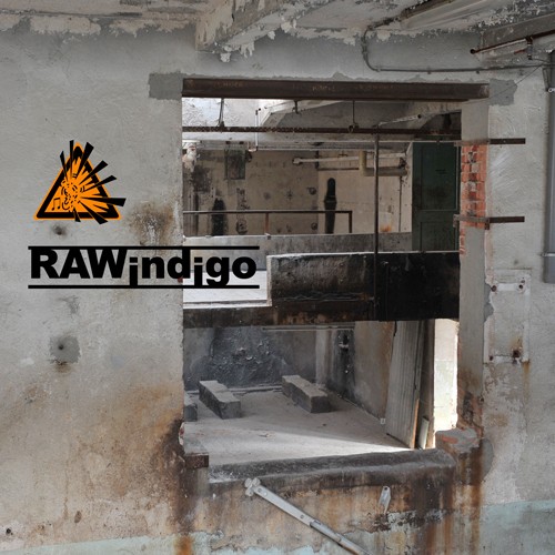 Raw Indigo V 3.1