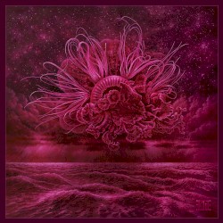 Garden of Storms