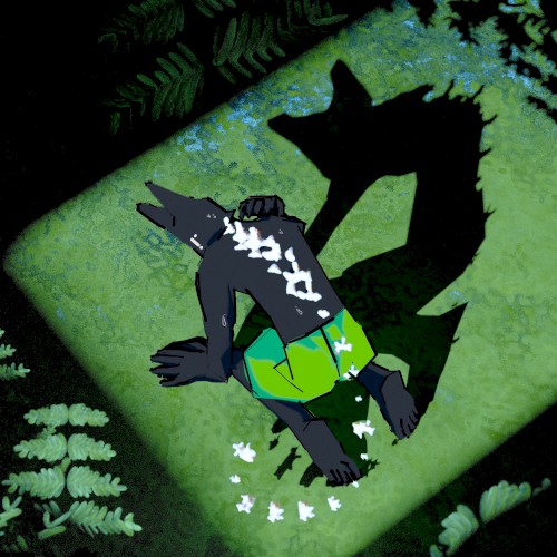 Algae