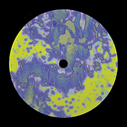 Thyme Capsules EP