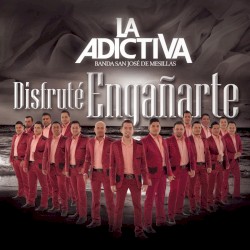 Disfruté engañarte
