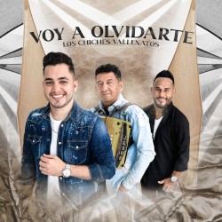 Voy a olvidarte
