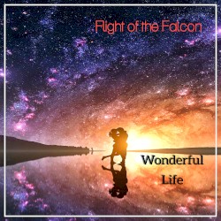 Wonderful Life