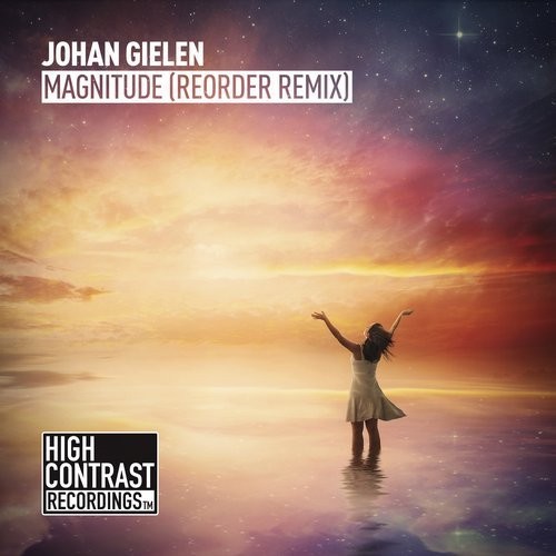 Magnitude (ReOrder Remix)