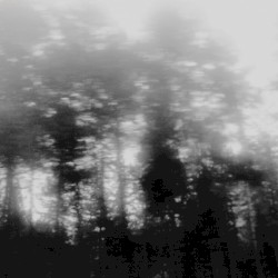 The Cold Light (Parts 1 and 2)