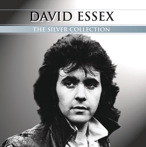 The David Essex Collection
