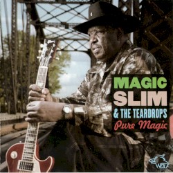 Pure Magic: Chicago Blues Session, Vol. 82
