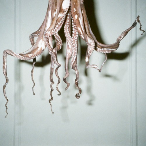 Gluttony Remixed