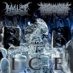 Ice