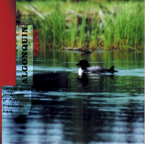 Algonquin