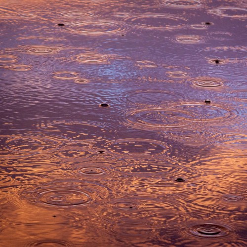 Low Light Mixes: Still Falls the Rain 2016
