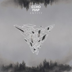 Entity