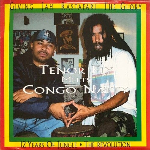 12 Years of Jungle: The Revolution
