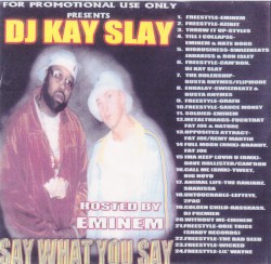 Say What You Say