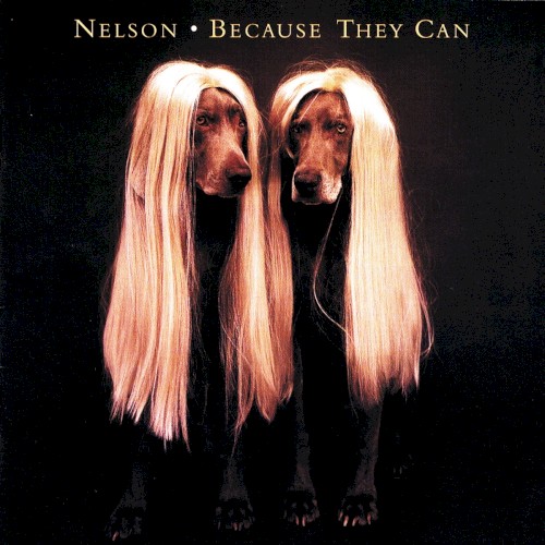 Because They Can