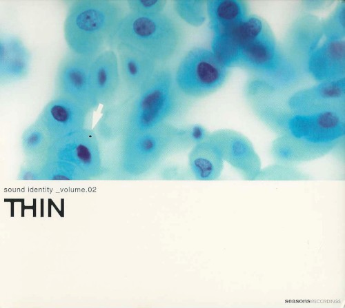 Sound Identity, Volume 2 - THIN