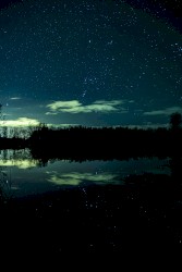 Starlight