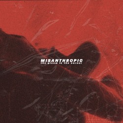Misanthropic