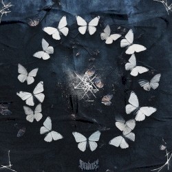The Butterfly Effect