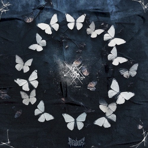 The Butterfly Effect