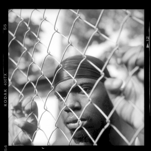 Fences