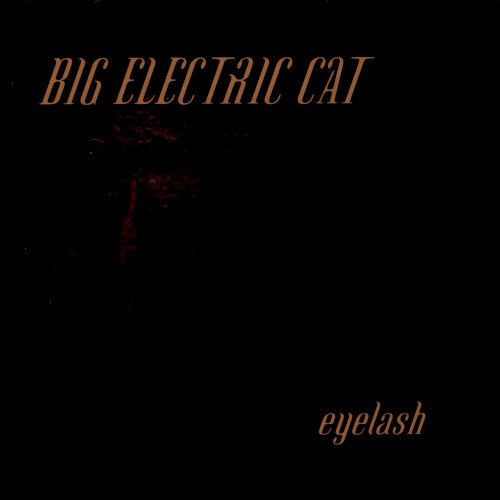 Eyelash
