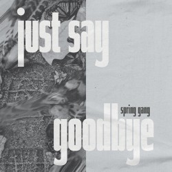 Just Say Goodbye