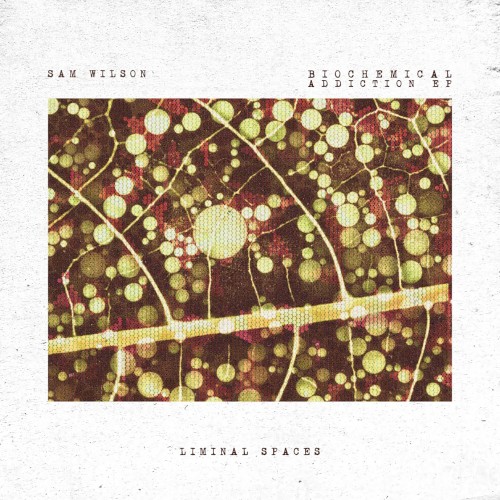 Biochemical Addiction EP
