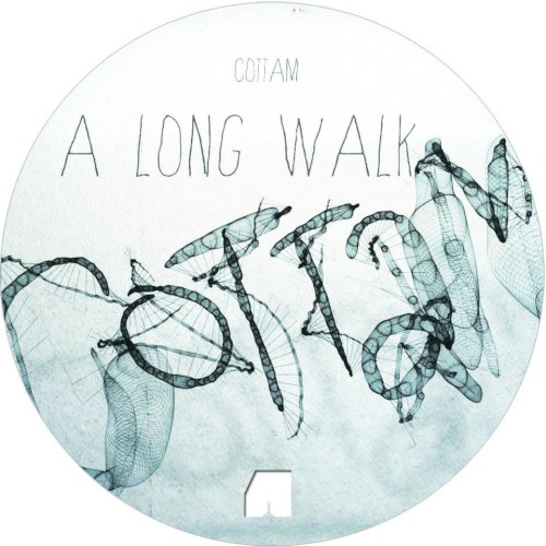 A Long Walk / The Other World